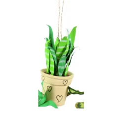 Cody Foster 4.5" Pothos, Snakeplant, Or Fern Christmas Ornament PO-2079 -Xmas Ornaments Shop PO 2079B 22502.1691524876