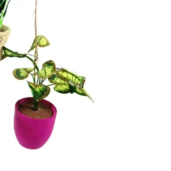 Cody Foster 4.5" Pothos, Snakeplant, Or Fern Christmas Ornament PO-2079 -Xmas Ornaments Shop PO 2079C 54197.1691524977