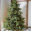Raz 7.5' Forever Lit Green Big Sky Spruce Christmas Tree T4352009